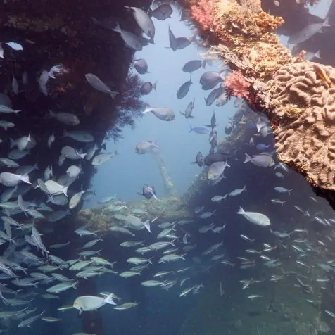 liberty-wreck-bali-7